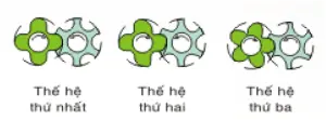 truc-vit-may-nen-khi-fusheng